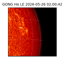 gong - 2026-05-26T02:00:42