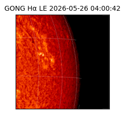 gong - 2026-05-26T04:00:42