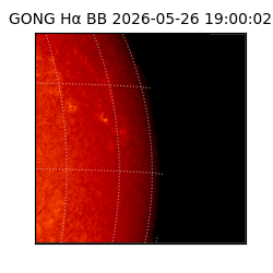 gong - 2026-05-26T19:00:02