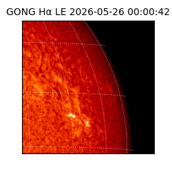 gong - 2026-05-26T00:00:42