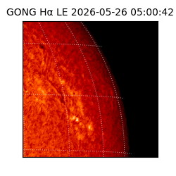 gong - 2026-05-26T05:00:42