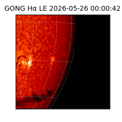 gong - 2026-05-26T00:00:42