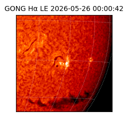 gong - 2026-05-26T00:00:42