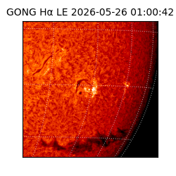 gong - 2026-05-26T01:00:42