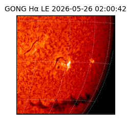 gong - 2026-05-26T02:00:42