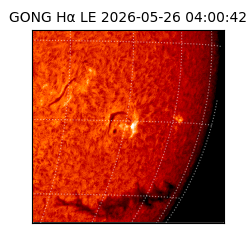 gong - 2026-05-26T04:00:42