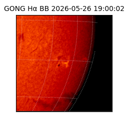 gong - 2026-05-26T19:00:02