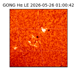 gong - 2026-05-26T01:00:42
