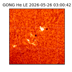 gong - 2026-05-26T03:00:42
