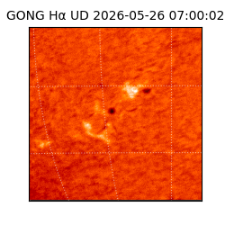 gong - 2026-05-26T07:00:02