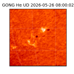 gong - 2026-05-26T08:00:02