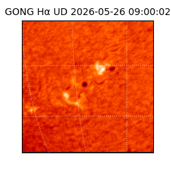 gong - 2026-05-26T09:00:02