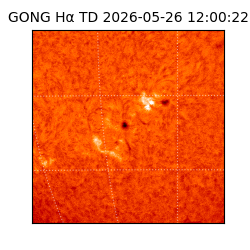 gong - 2026-05-26T12:00:22