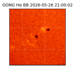 gong - 2026-05-26T21:00:02