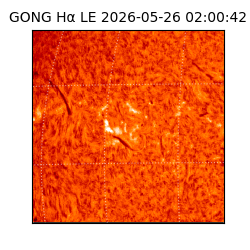 gong - 2026-05-26T02:00:42