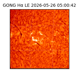 gong - 2026-05-26T05:00:42