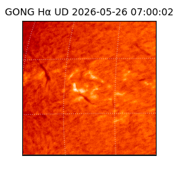 gong - 2026-05-26T07:00:02