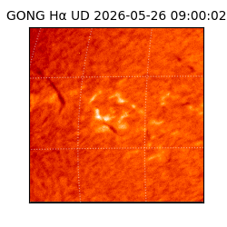 gong - 2026-05-26T09:00:02