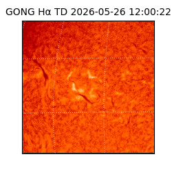 gong - 2026-05-26T12:00:22