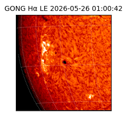 gong - 2026-05-26T01:00:42