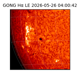 gong - 2026-05-26T04:00:42