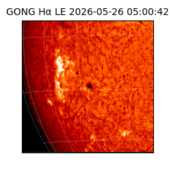 gong - 2026-05-26T05:00:42