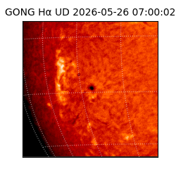 gong - 2026-05-26T07:00:02