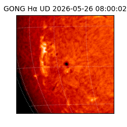 gong - 2026-05-26T08:00:02