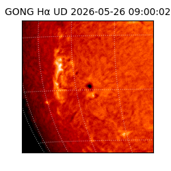 gong - 2026-05-26T09:00:02