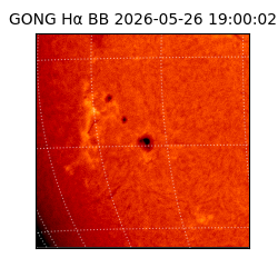 gong - 2026-05-26T19:00:02