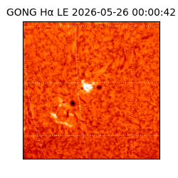 gong - 2026-05-26T00:00:42