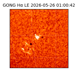 gong - 2026-05-26T01:00:42