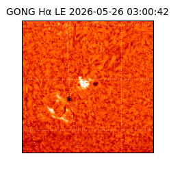 gong - 2026-05-26T03:00:42