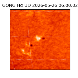 gong - 2026-05-26T06:00:02