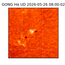 gong - 2026-05-26T08:00:02