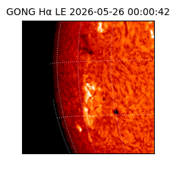 gong - 2026-05-26T00:00:42