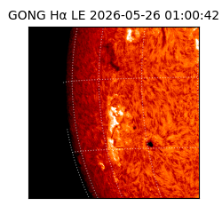 gong - 2026-05-26T01:00:42