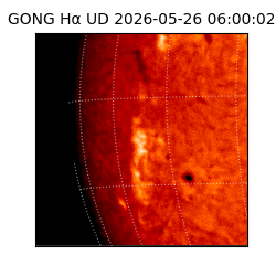 gong - 2026-05-26T06:00:02
