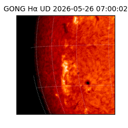 gong - 2026-05-26T07:00:02