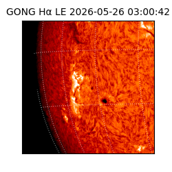 gong - 2026-05-26T03:00:42