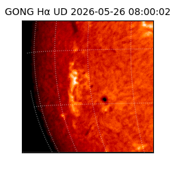 gong - 2026-05-26T08:00:02