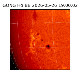 gong - 2026-05-26T19:00:02