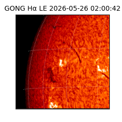 gong - 2026-05-26T02:00:42