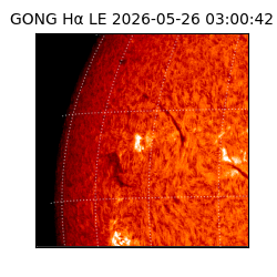 gong - 2026-05-26T03:00:42