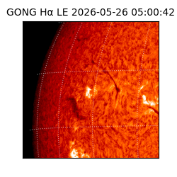gong - 2026-05-26T05:00:42