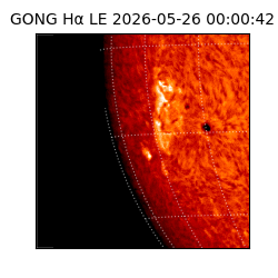 gong - 2026-05-26T00:00:42