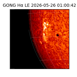 gong - 2026-05-26T01:00:42