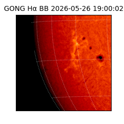 gong - 2026-05-26T19:00:02