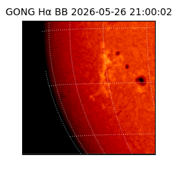gong - 2026-05-26T21:00:02