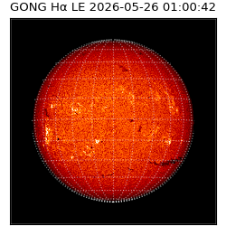 gong - 2026-05-26T01:00:42